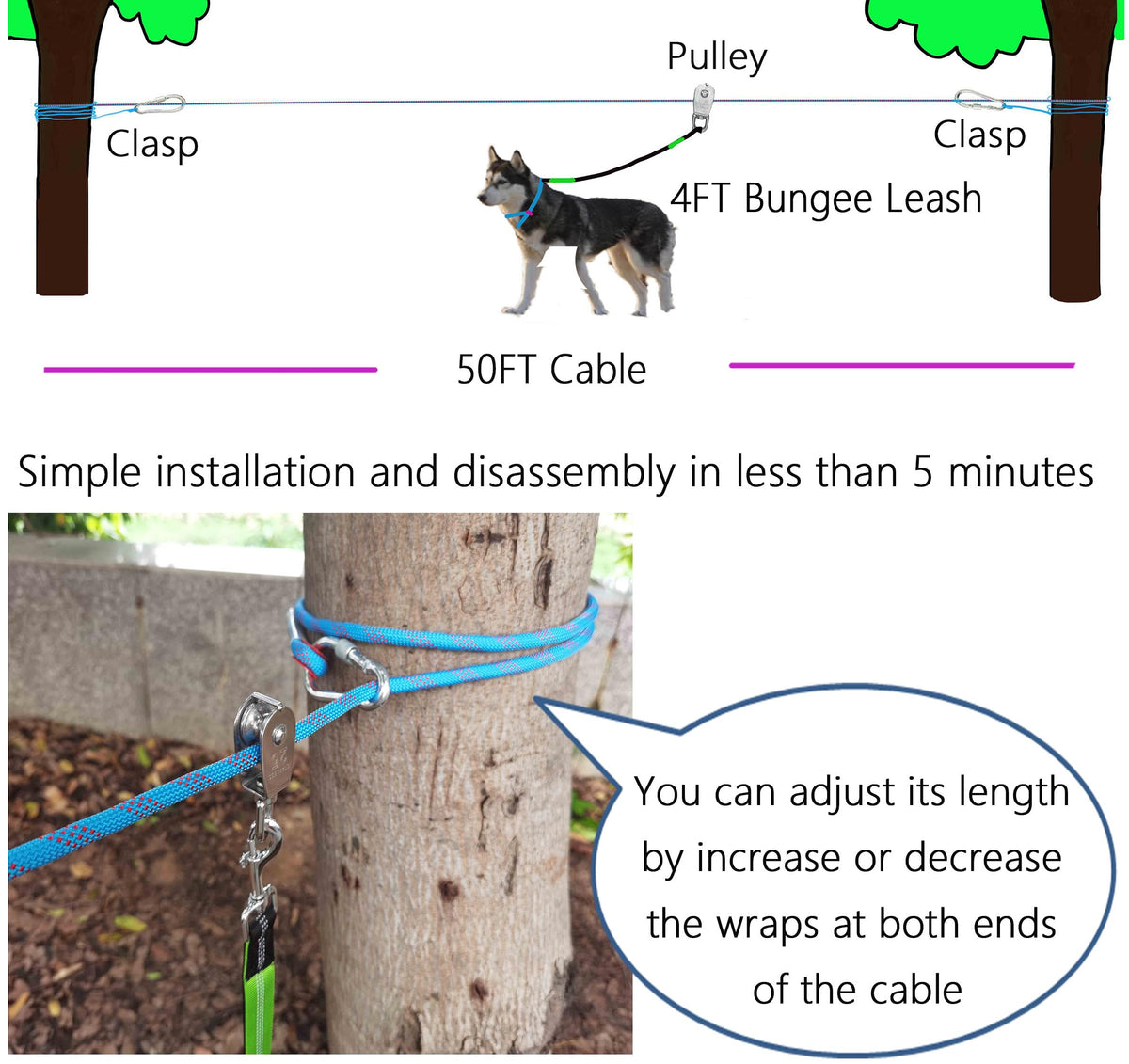 SIAELT Leash in 50Ft, Blue 2dogs