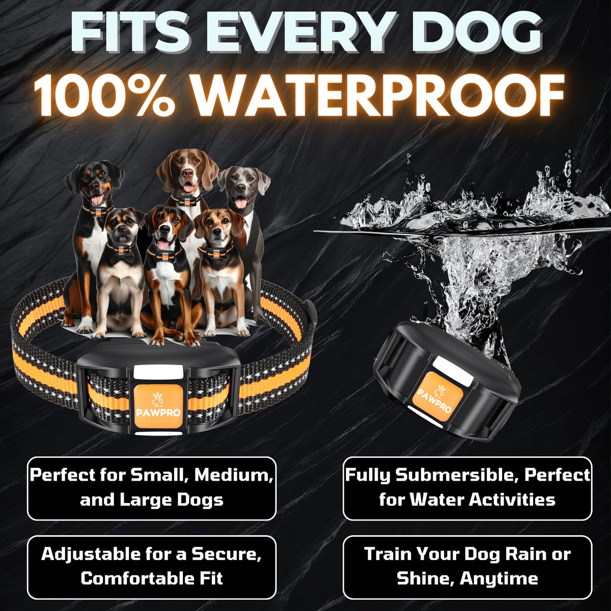 PAWPRO Animal Collar in 1 Collar - Orange, Orange