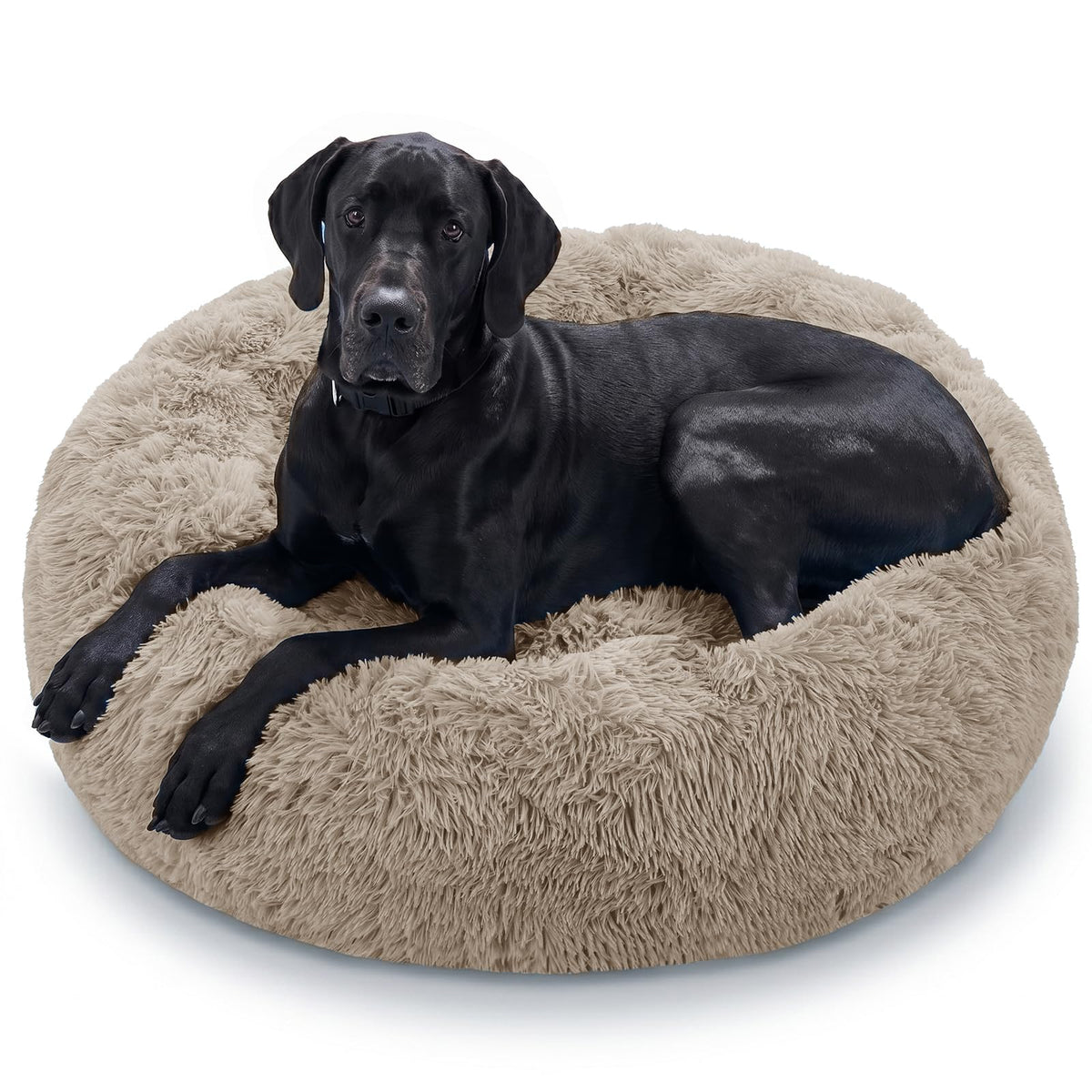 JOLLYVOGUE Pet Bed Mat in 45", Cream Brown