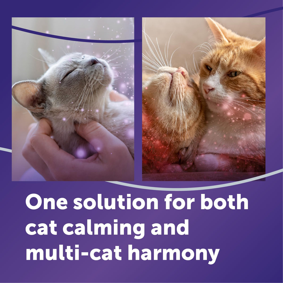 FELIWAY Aroma Diffuser in 1 Pack, Translucent