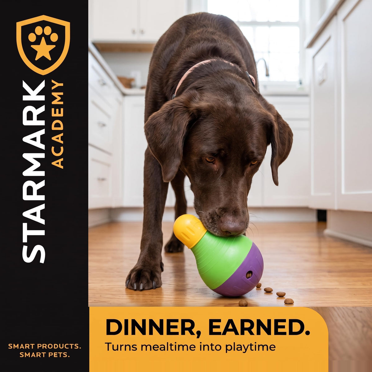 Starmark Pet Toy in Small, Green, purple, and yellow