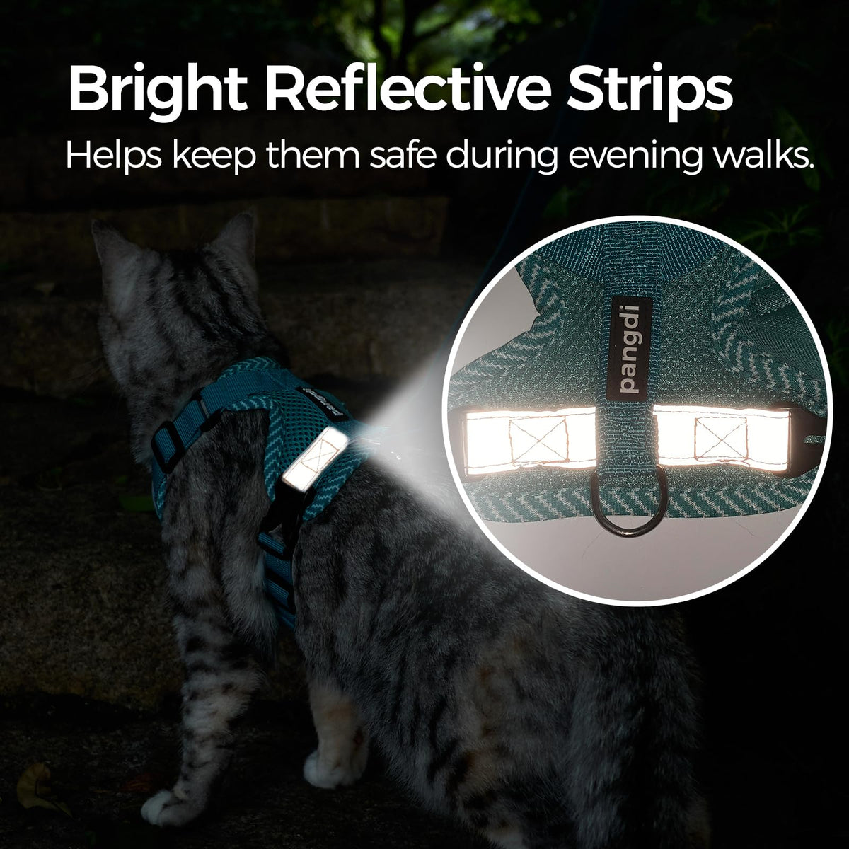 pangdi Pet Supplies in Small, Turquoise