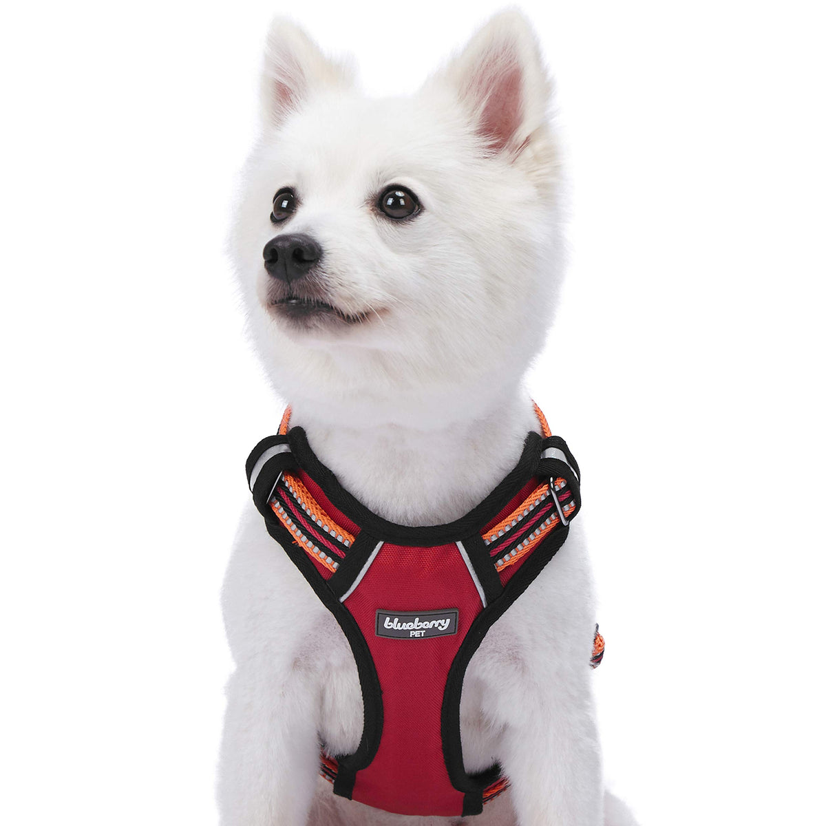 Blueberry Pet Animal Harness in Large, Blue-gray and Olive