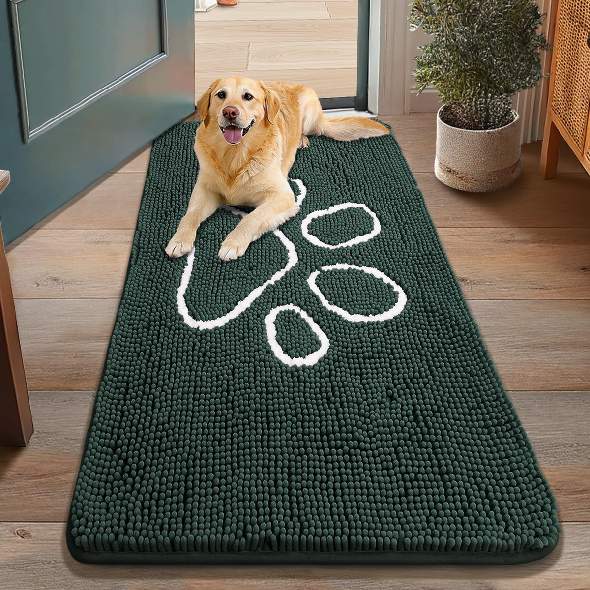 Smiry Rug in 48"X30", Green and White