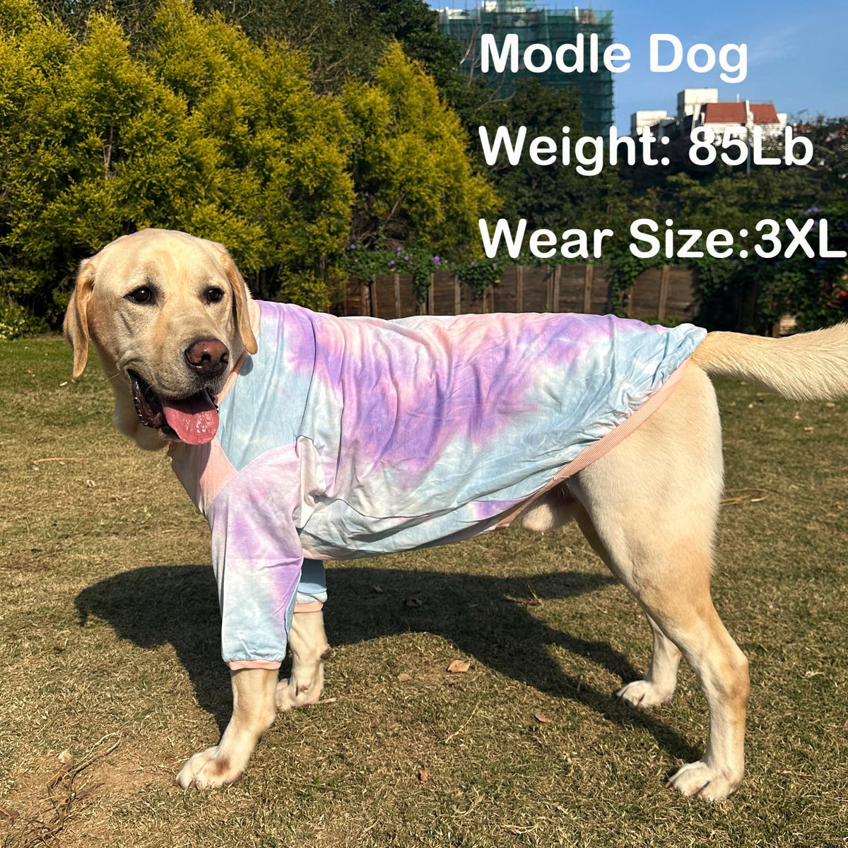 PriPre Pet Apparel in X-Large, .Tiedye