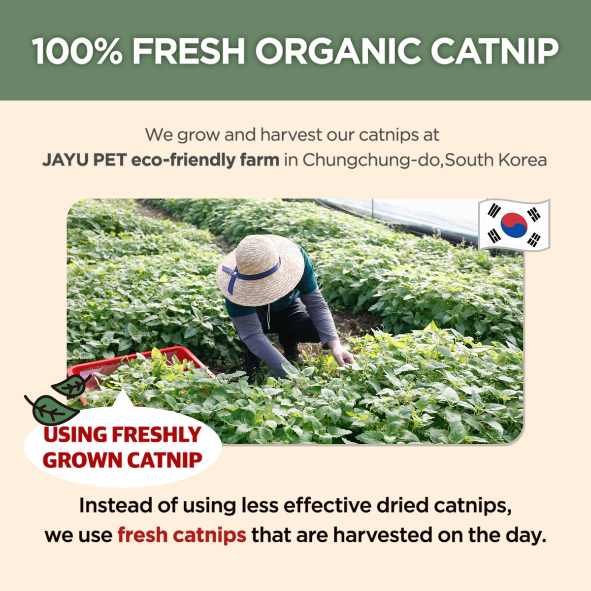 JAYU PET Pet Toy in 1fl oz, Catnip