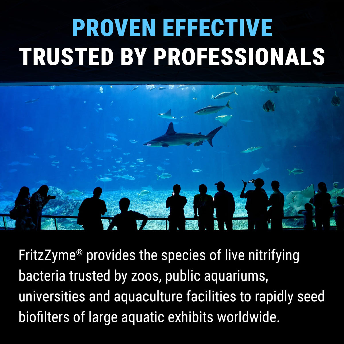 Fritz Aquatics Aquarium Pond Water Treatment in 32 oz