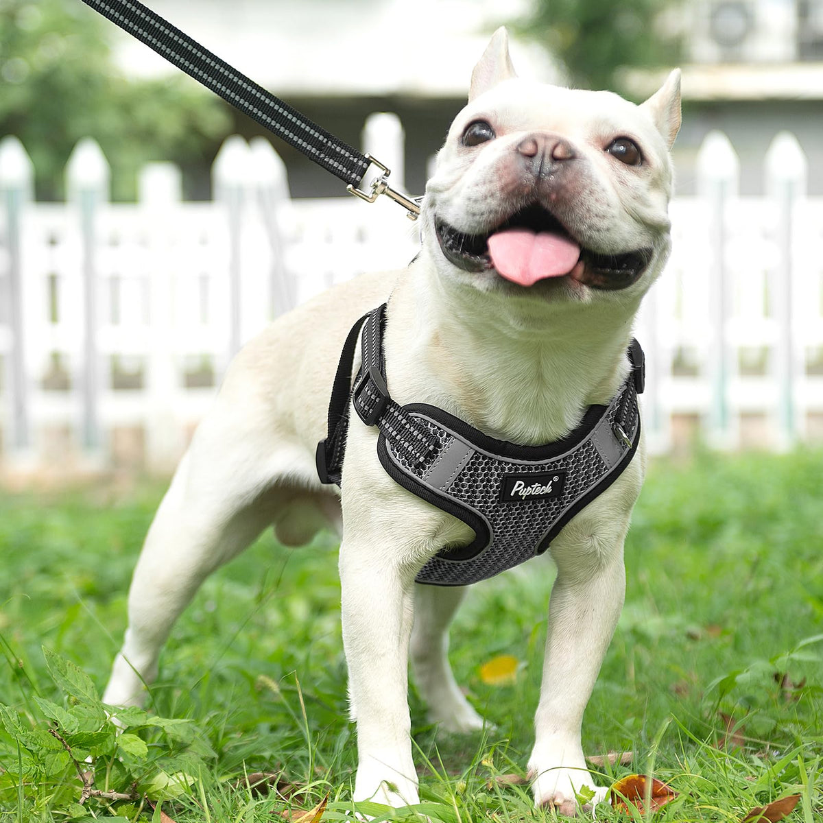 PUPTECK Animal Harness in L (25-33lbs, Chest 20"-25"), #1 Grey(Breathable Mesh)