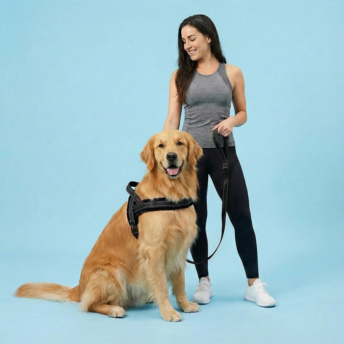 Didog Leash in 3/4''x 4 FT, Black