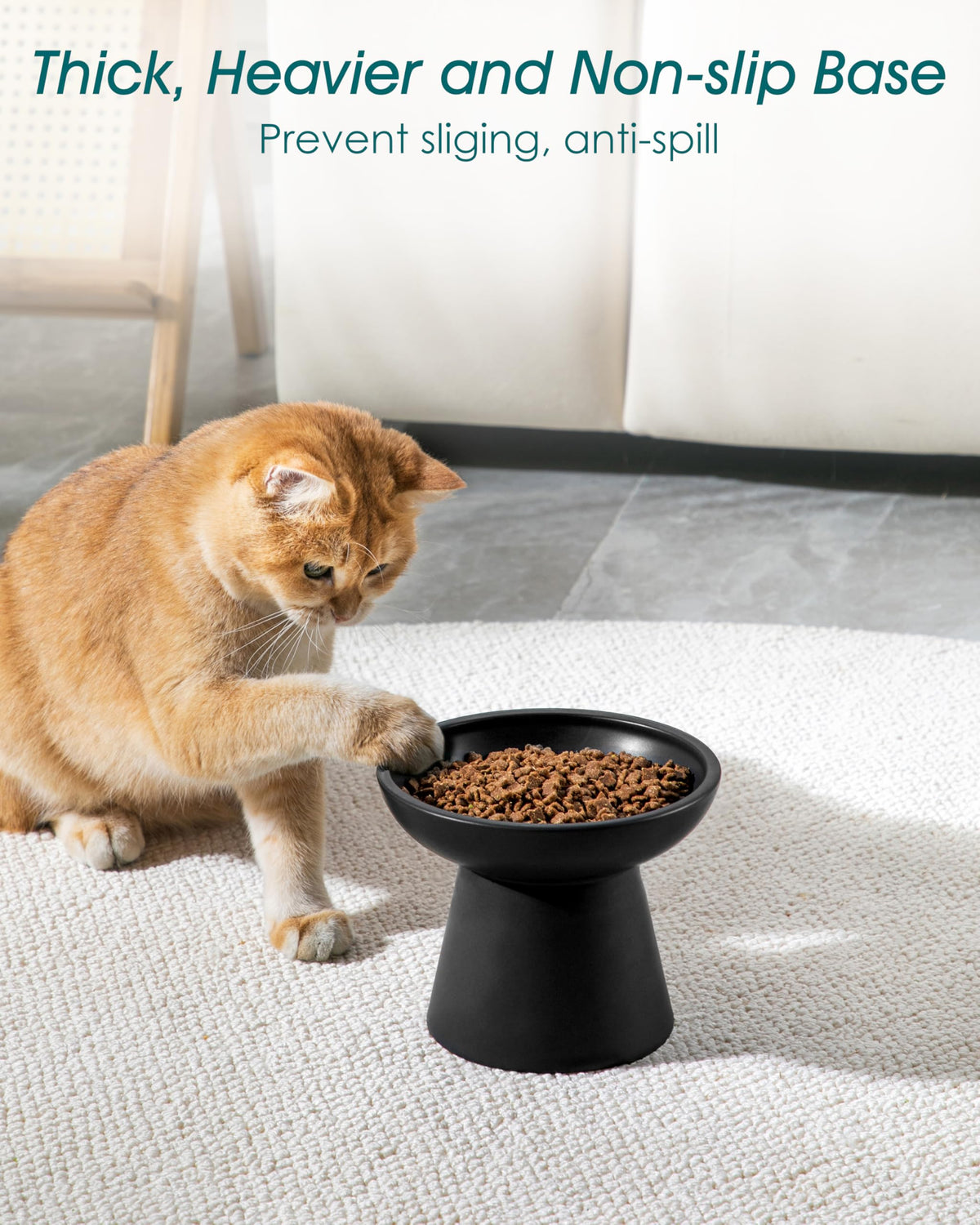 vancasso Pet Feeder in 2 Pack-Food & Water Bowls, Black