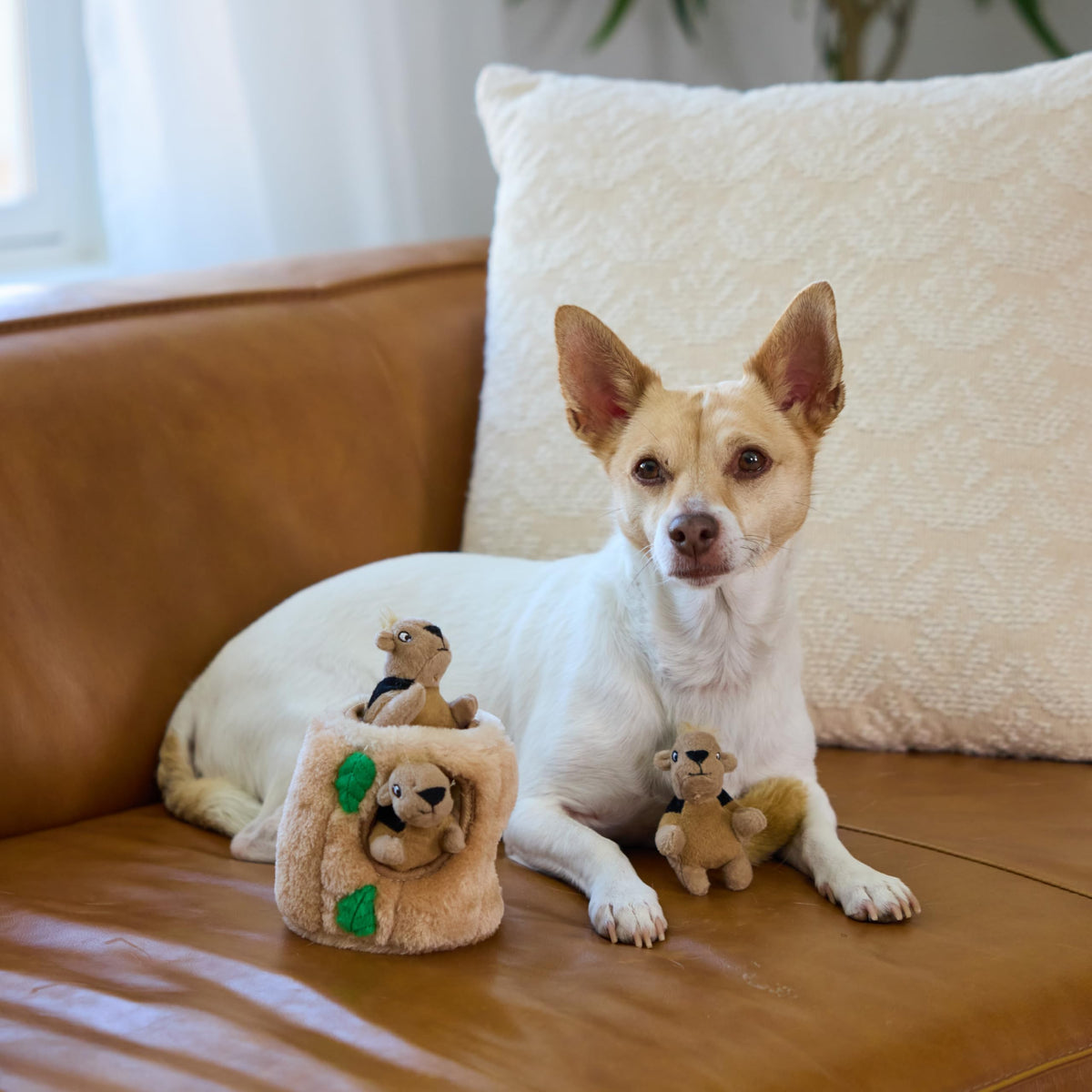 Outward Hound Pet Toy in Small (Pack of 1), Squirrel Small