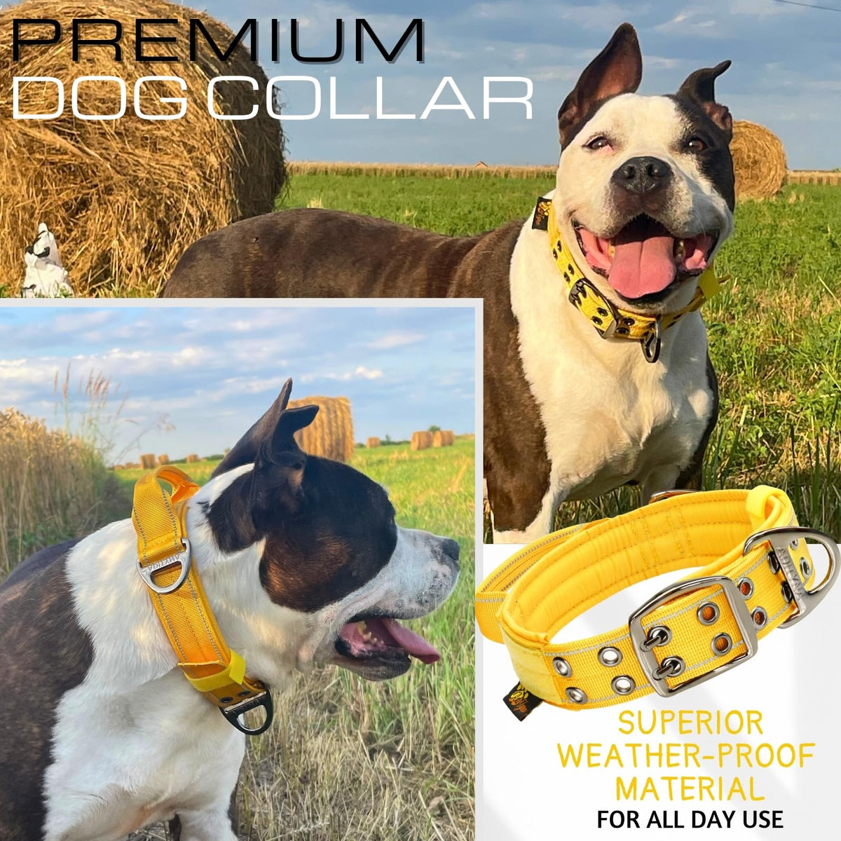 ADITYNA Animal Collar in Medium: Fit 15-19" Neck, Yellow