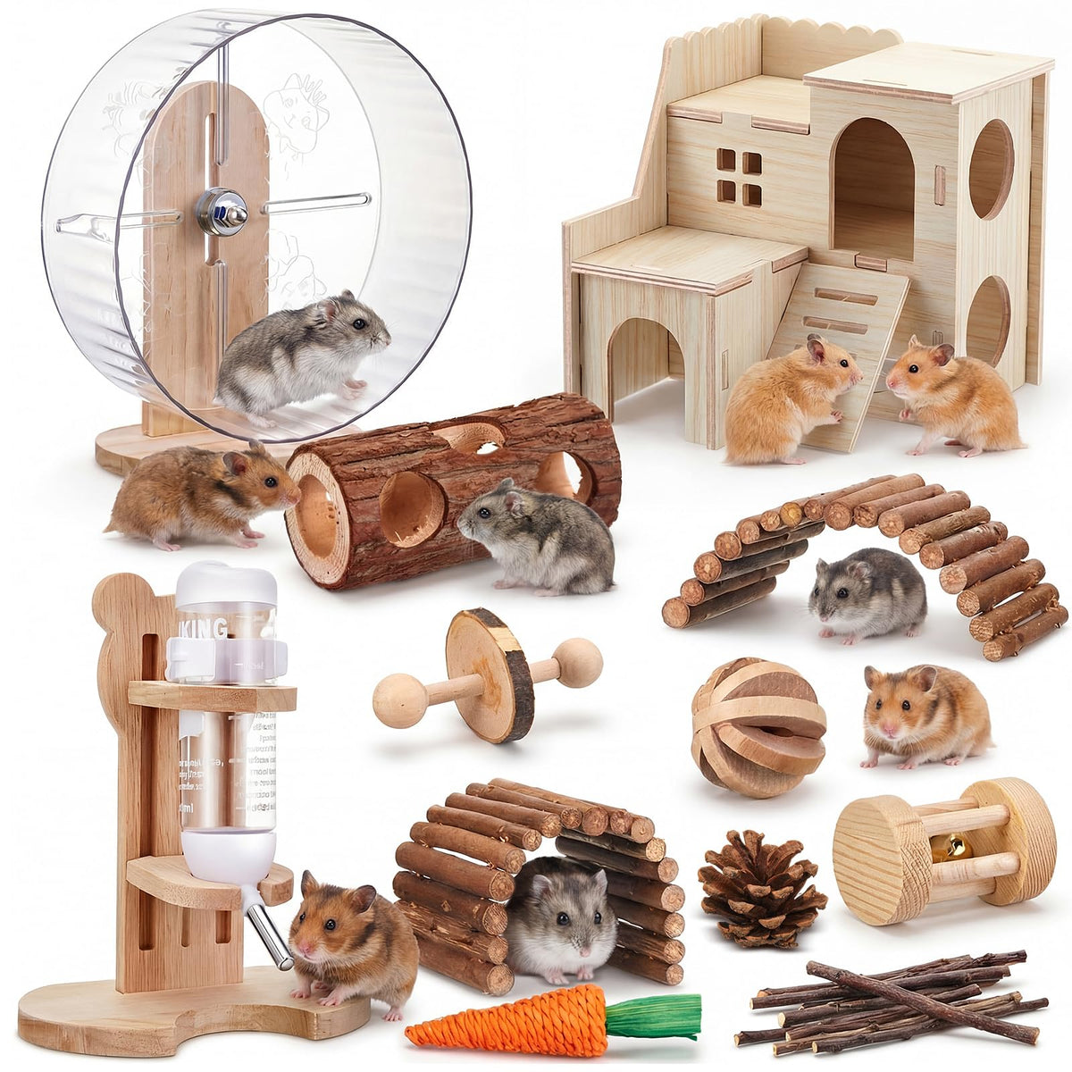 Sonwyoung Pet Activity Structure in natural