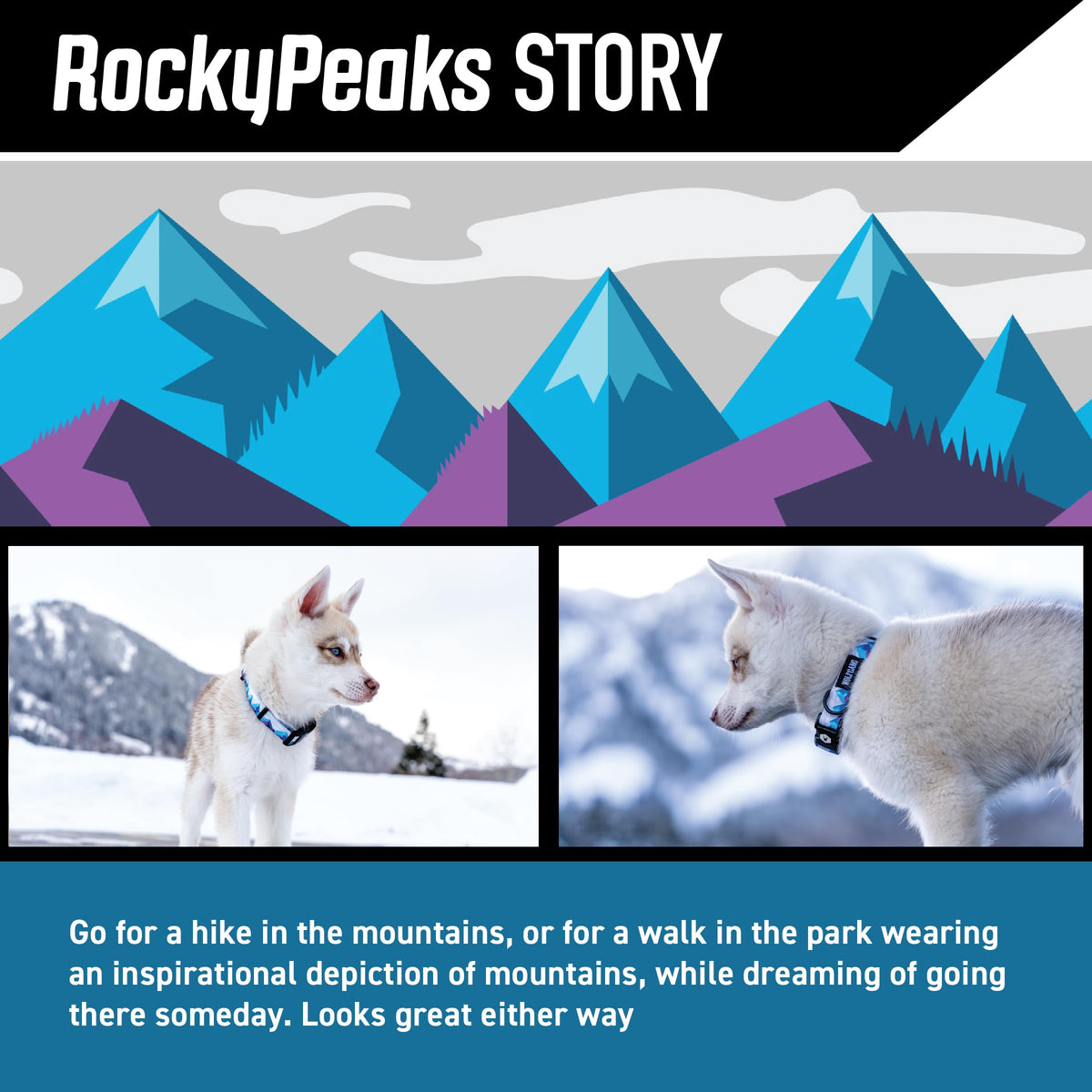 Wolfgang Man & Beast Animal Collar in Small (5/8 Inch x 8-12 Inch), RockyPeaks Print