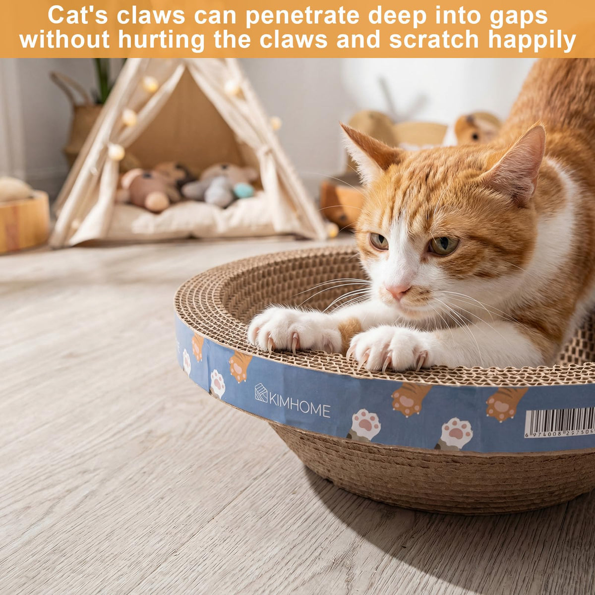Zopeal Pet Activity Structure in Bowl Shape