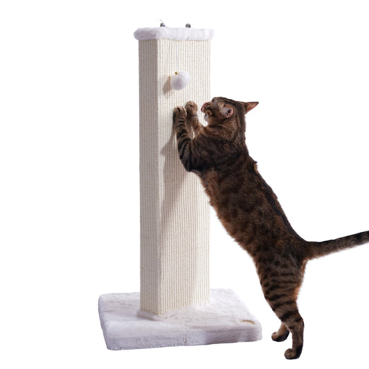 Sopapets Pet Activity Structure in White
