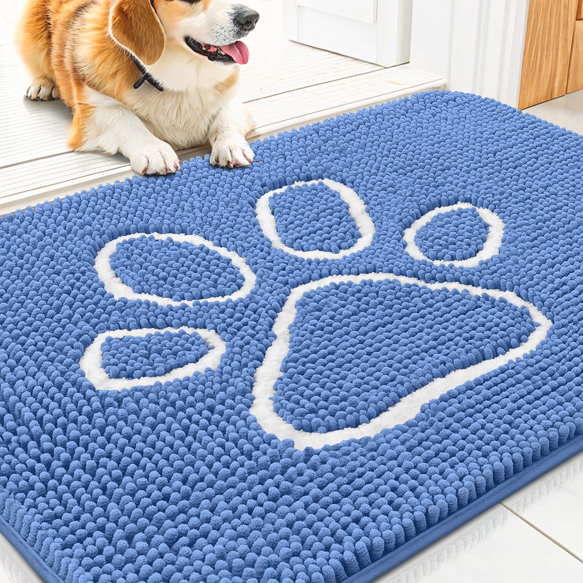 Smiry Rug in 30"X20", Cornflower Blue and White