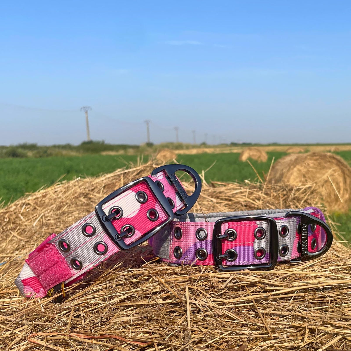 ADITYNA Animal Collar in Extra-Large: Fit 24-30" Neck, Camo Pink