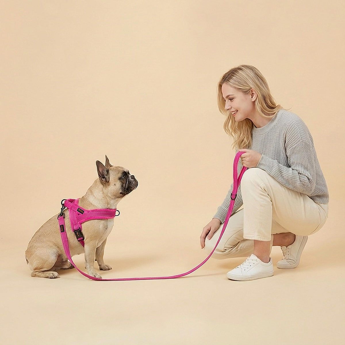 Didog Leash in 5/8''x 6 FT, Hot Pink
