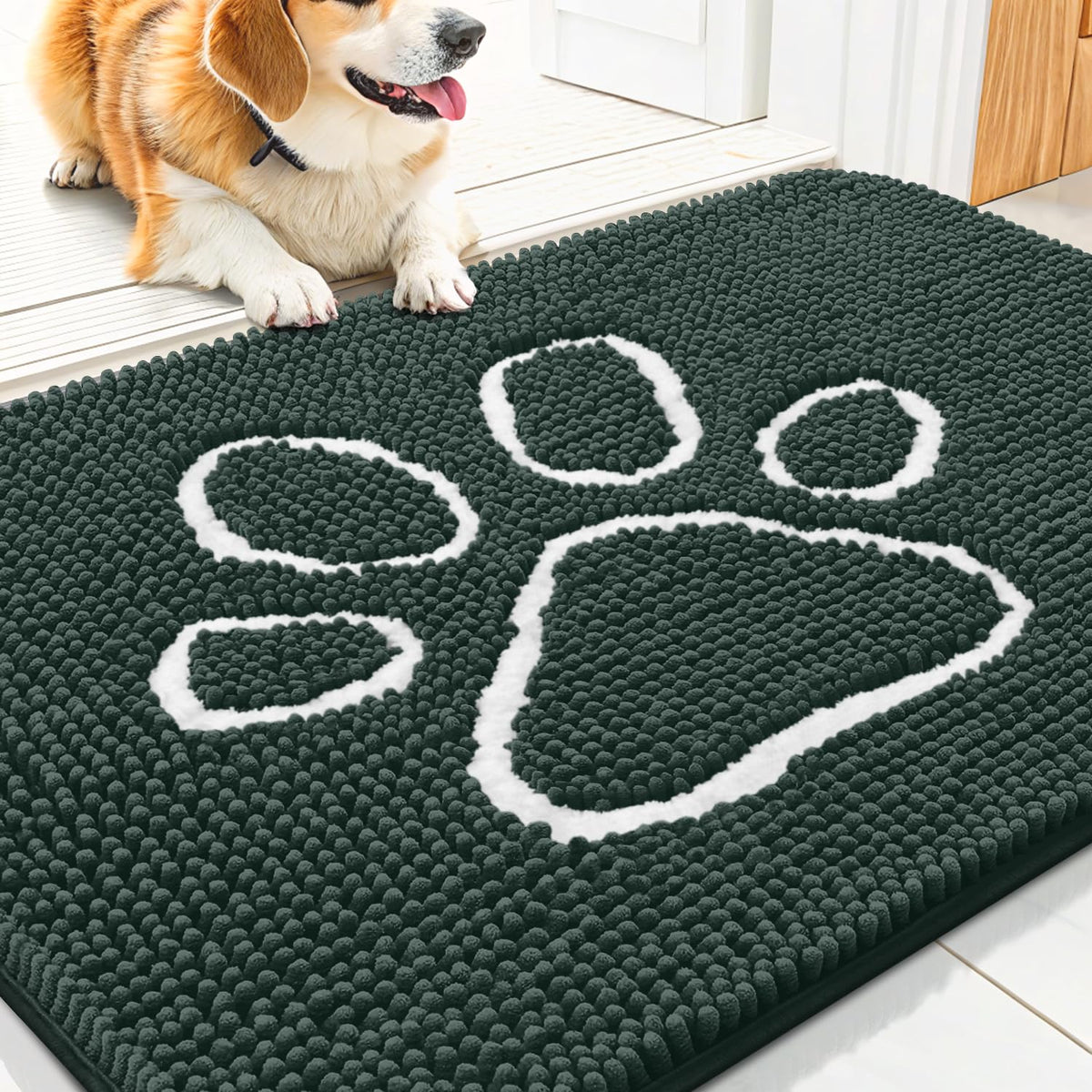 Smiry Rug in 30"X20", Green and White