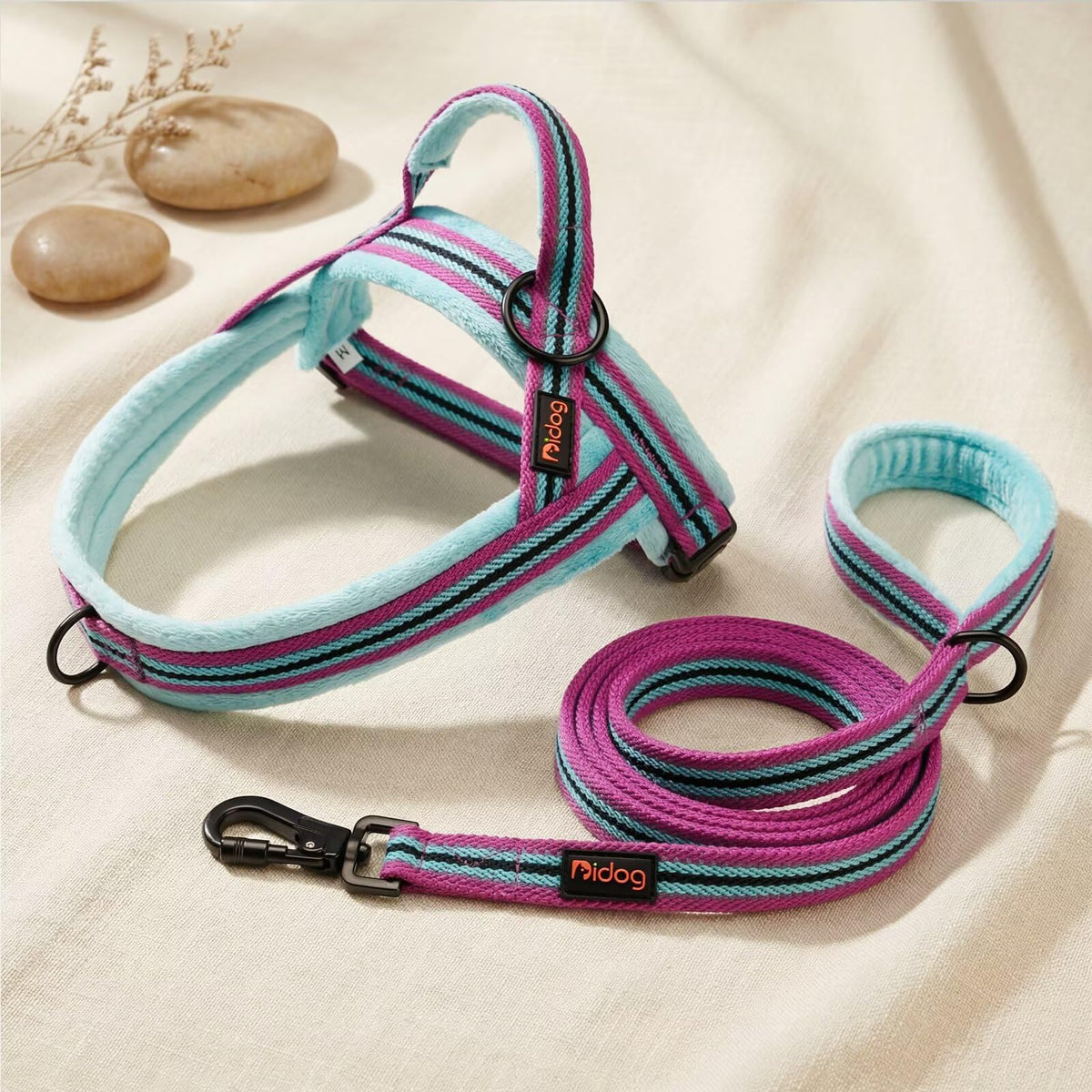 Didog Leash in 3/4''x 6 FT, Mixed-Blue