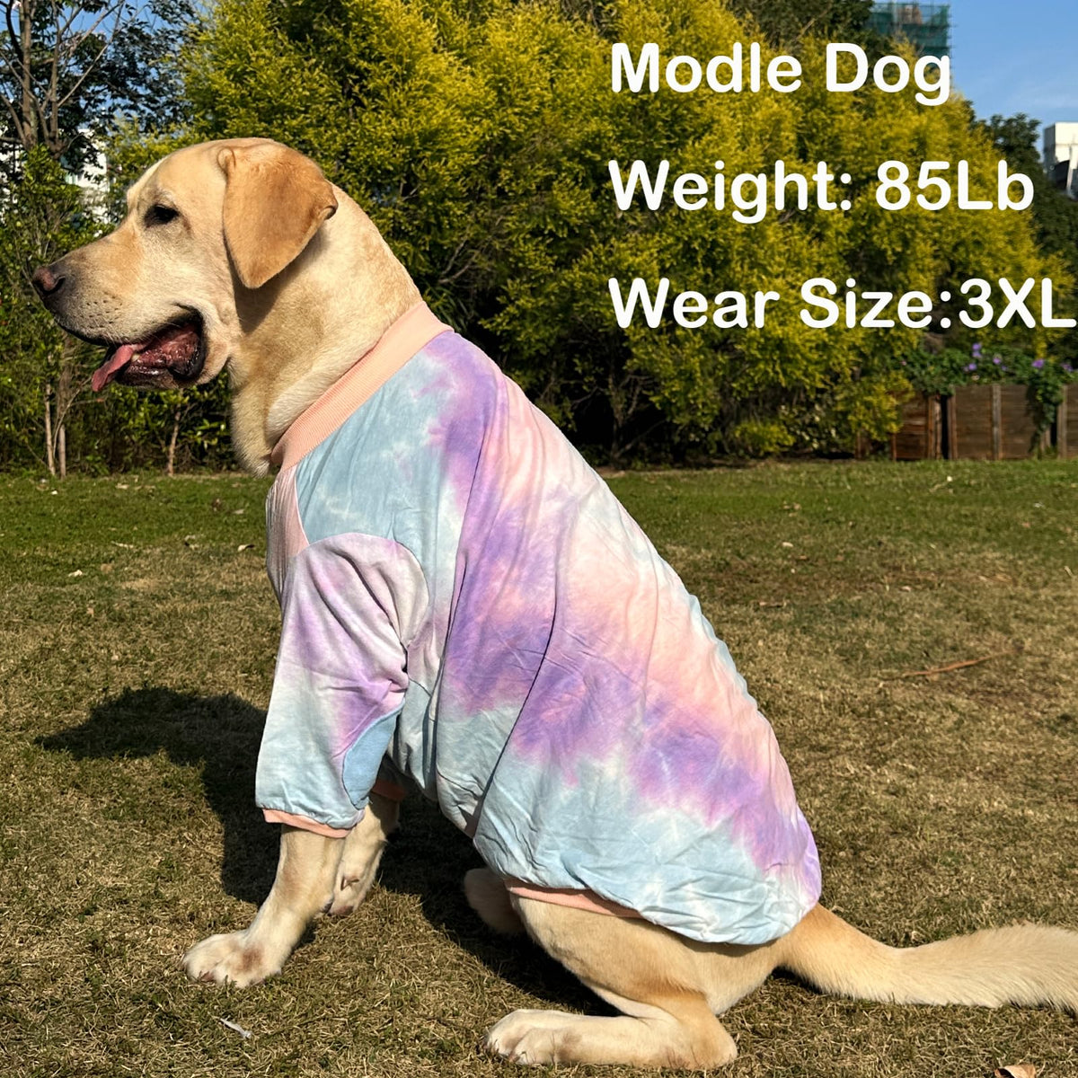 PriPre Pet Apparel in X-Large, .Tiedye