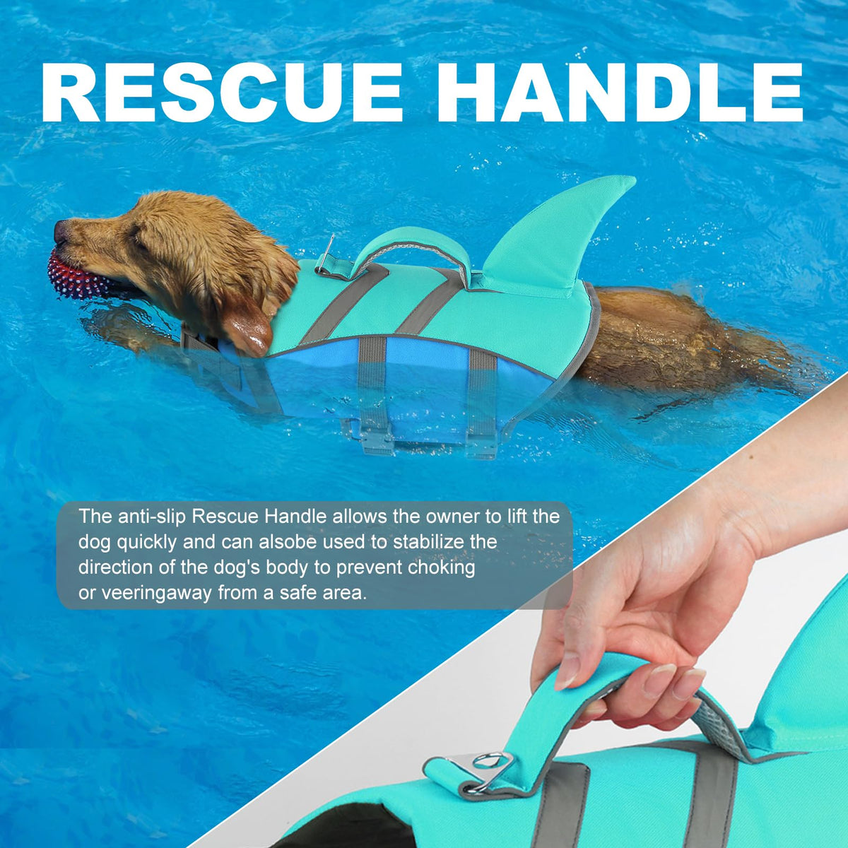 Doglay Pet Apparel in X-small, Blue+Aquagreen