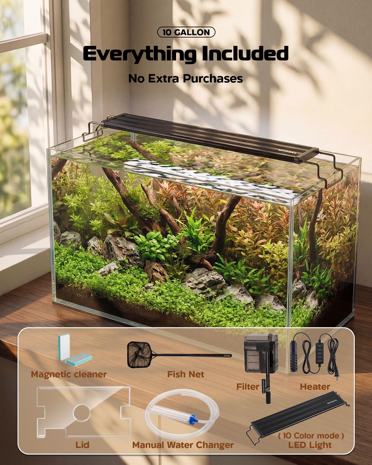 minilake Vivarium in 10 Gallon, Transparent