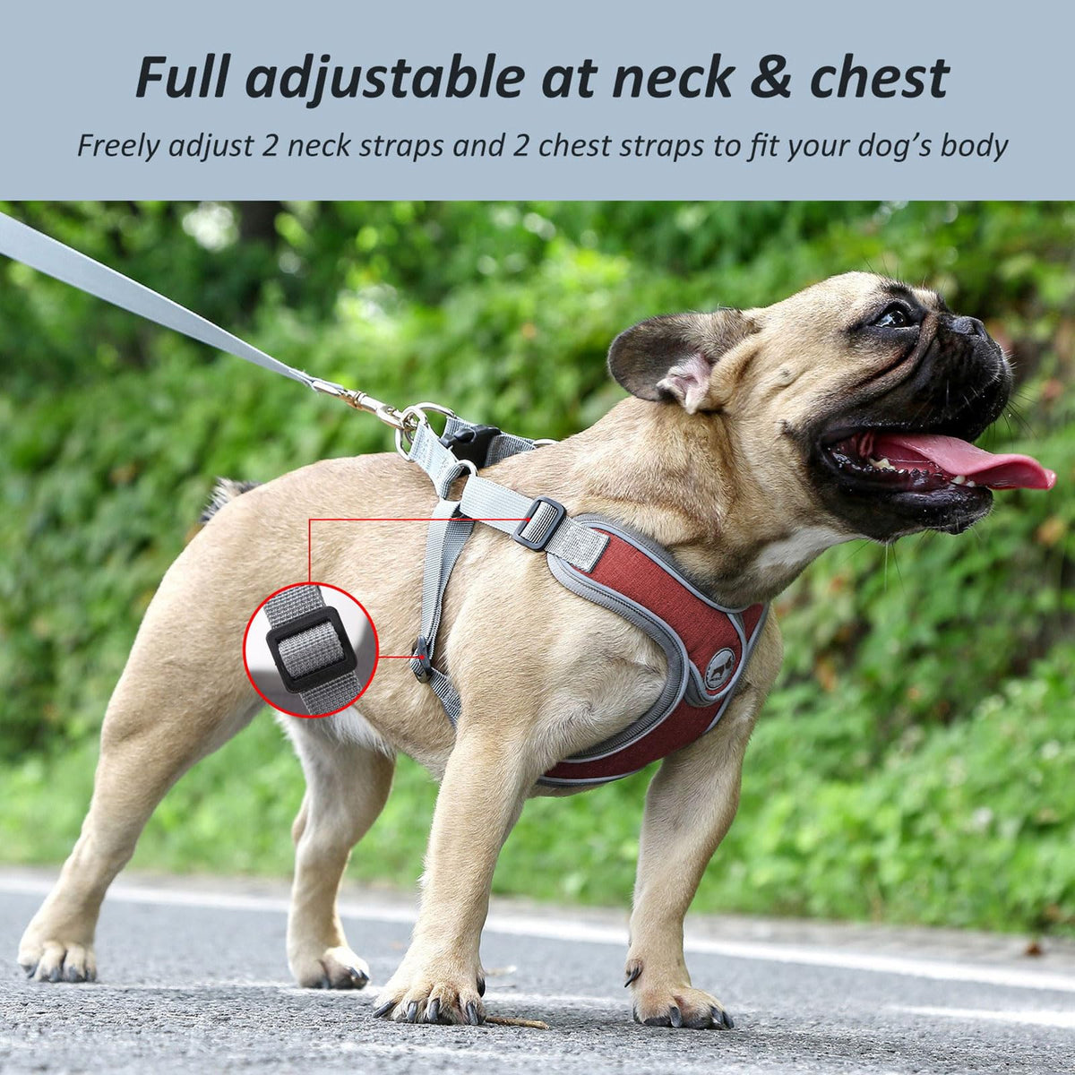 SAEGYPET Animal Harness in XS, Red