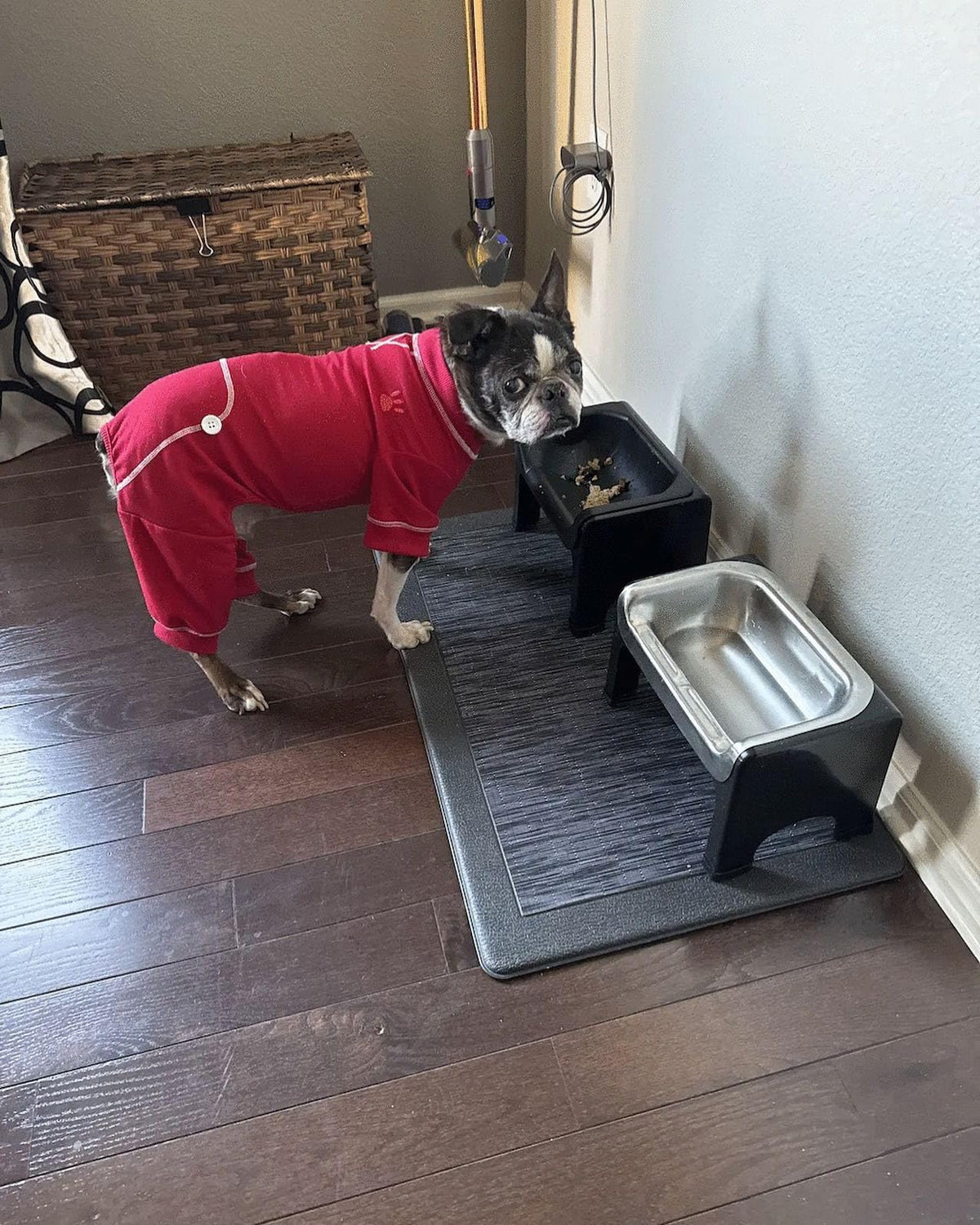 Fluff Trough Pet Feeder in Black