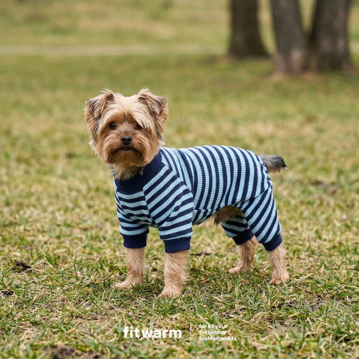 Fitwarm Pet Apparel in X-Small, Basic Blue