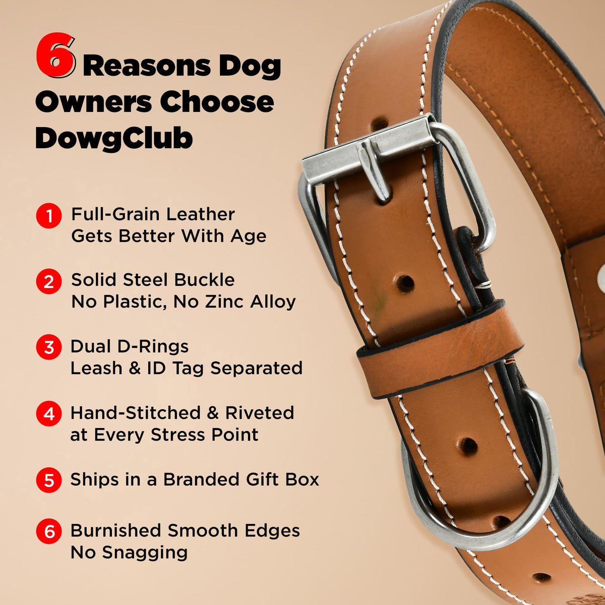 DowgClub Animal Collar in S (11"-14"), Tan