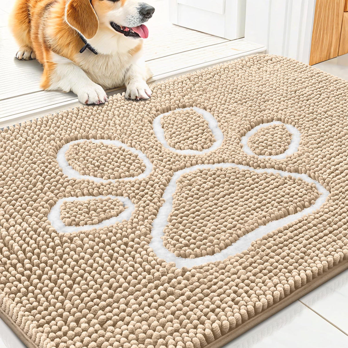 Smiry Rug in 30"X20", Beige and White
