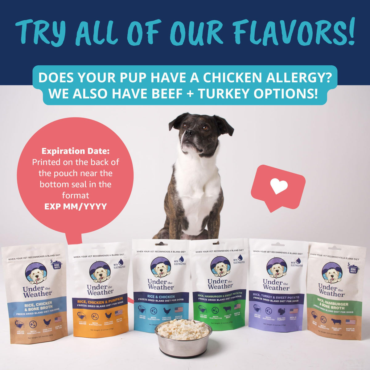 Under the Weather Pet Food in 6 Ounce (Pack of 1)
