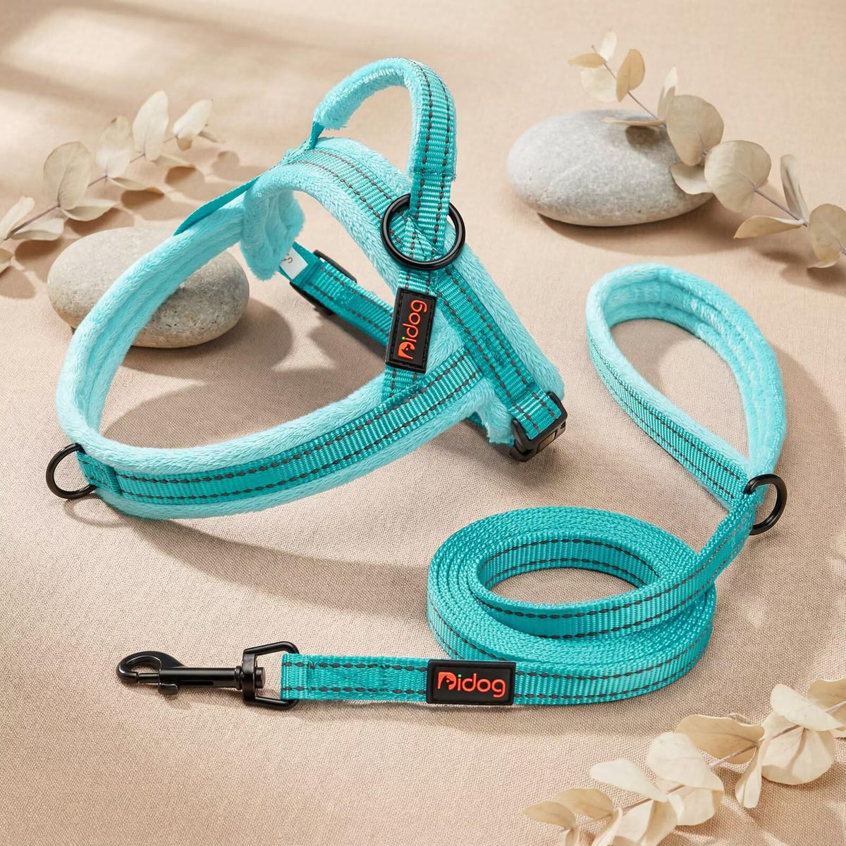 Didog Leash in 5/8''x 6 FT, Teal