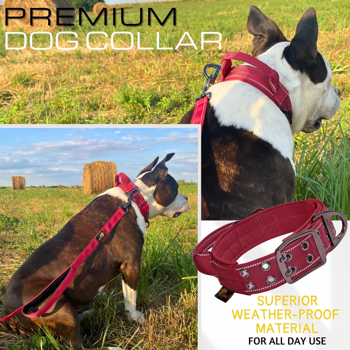 ADITYNA Animal Collar in Medium: Fit 15-19" Neck, Burgundy