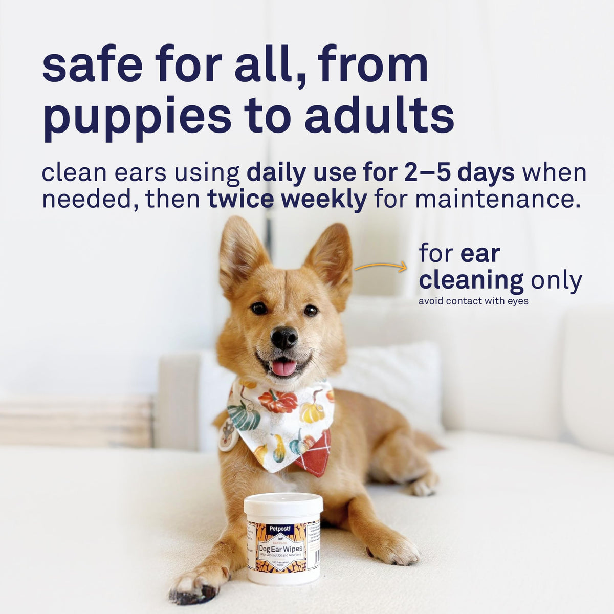Petpost Pet Supplies in Regular, Ear