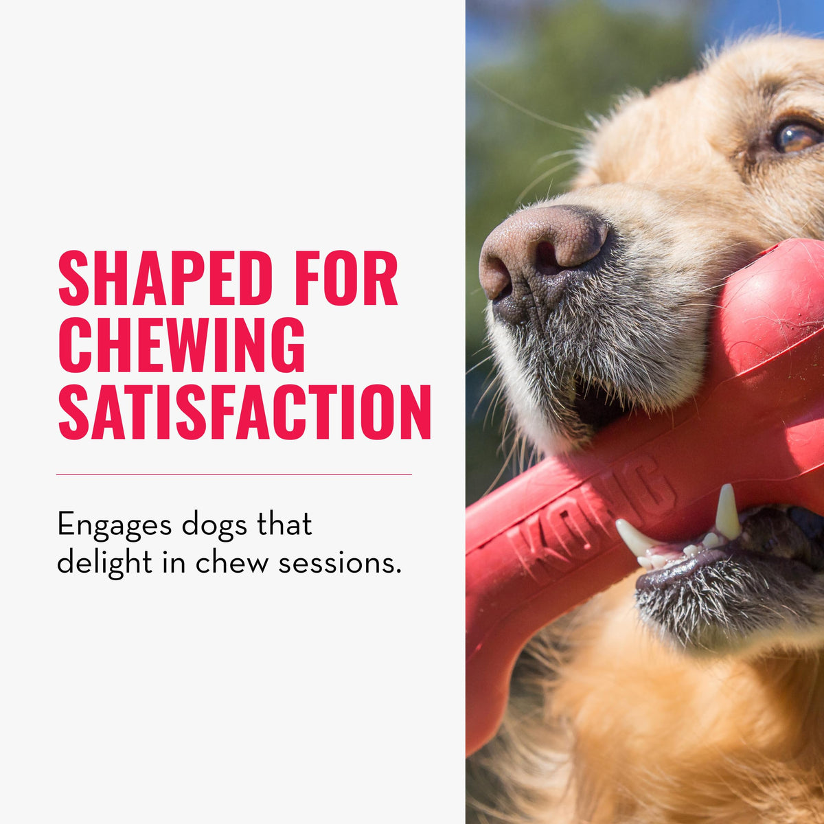 KONG Pet Toy in Medium (Pack of 2), Red