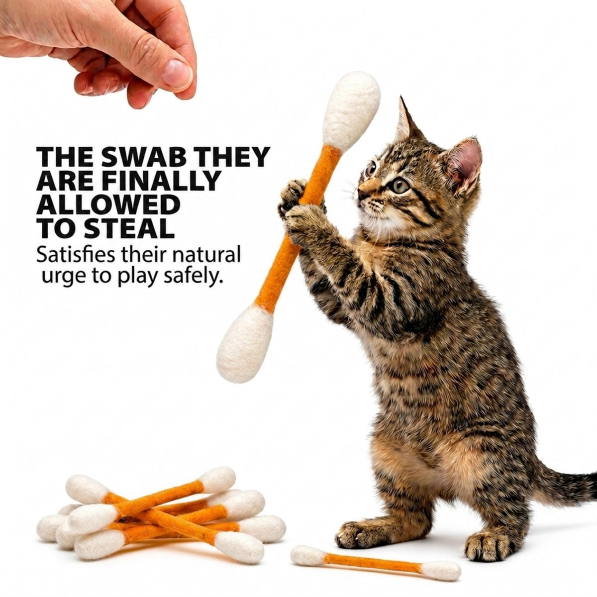 Glaciart One Pet Toy in Regular, Orange Swabs
