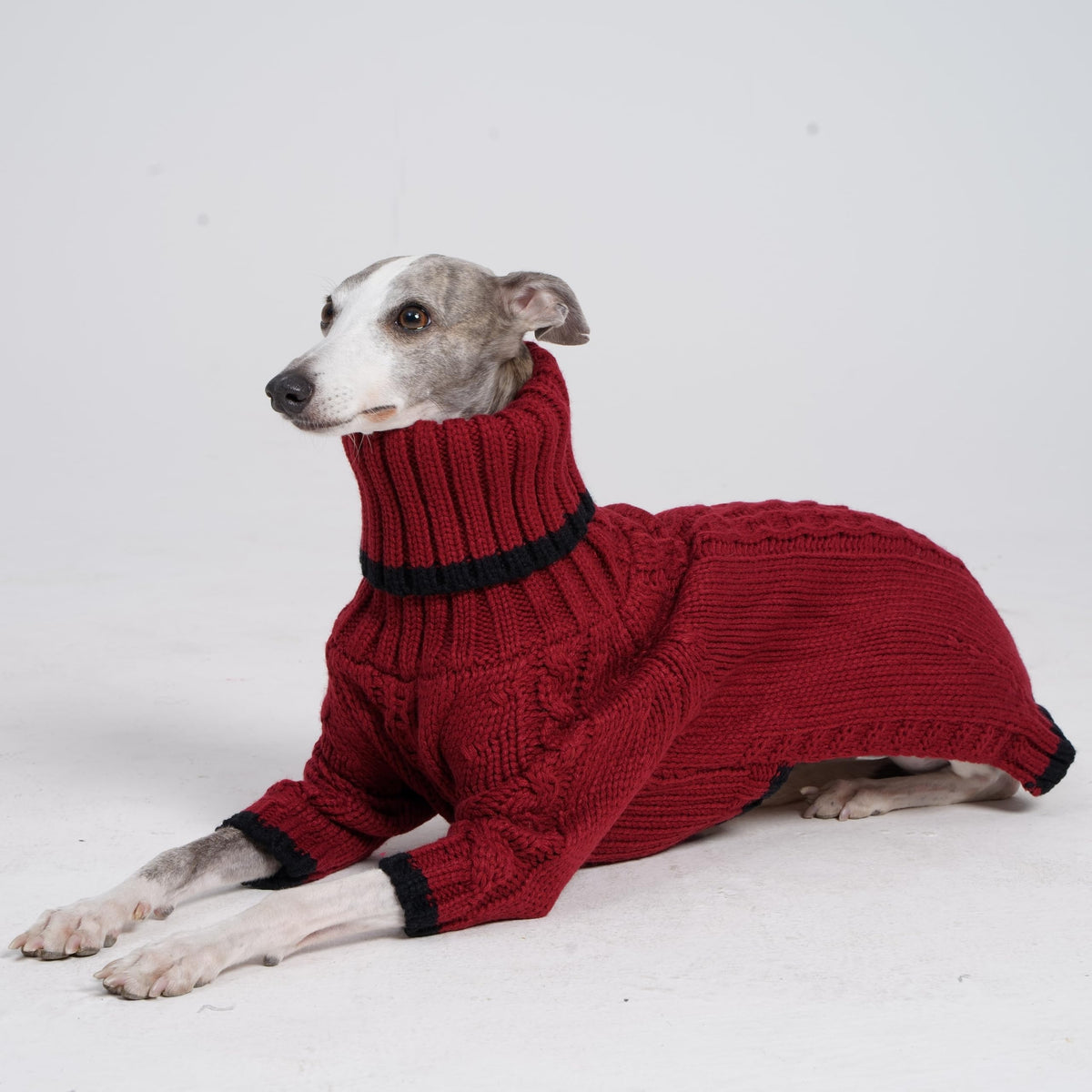 ESCCBOO Pet Apparel in Medium, Red