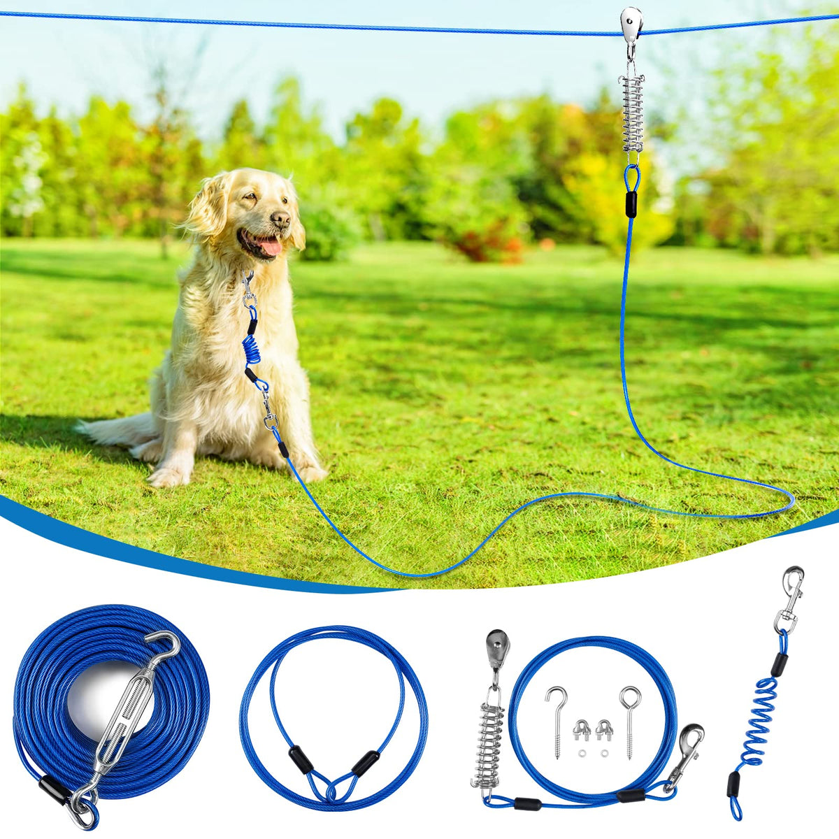 Duckygoo Leash in 100 FT,125LBS, Blue
