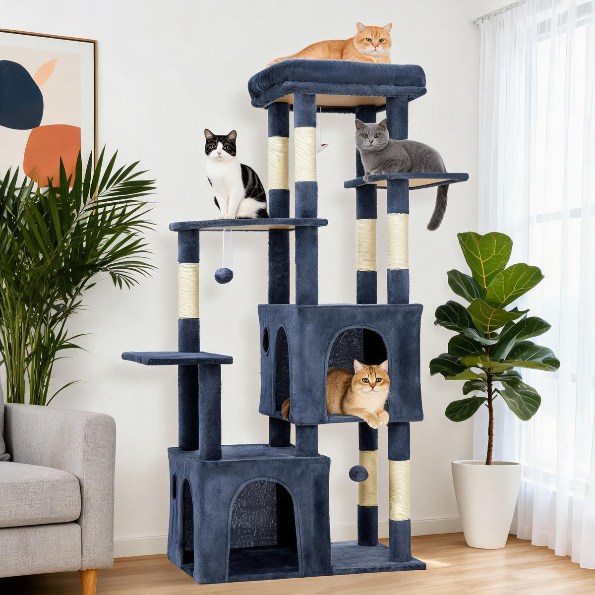 OUTLANE Pet Activity Structure in Blue, Blue