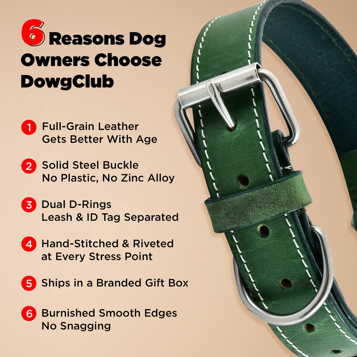 DowgClub Animal Collar in S (11"-14"), Green