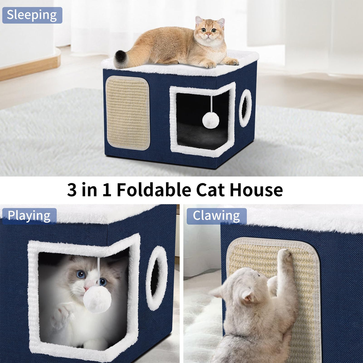Shikha Animal Shelter in Large, Blue