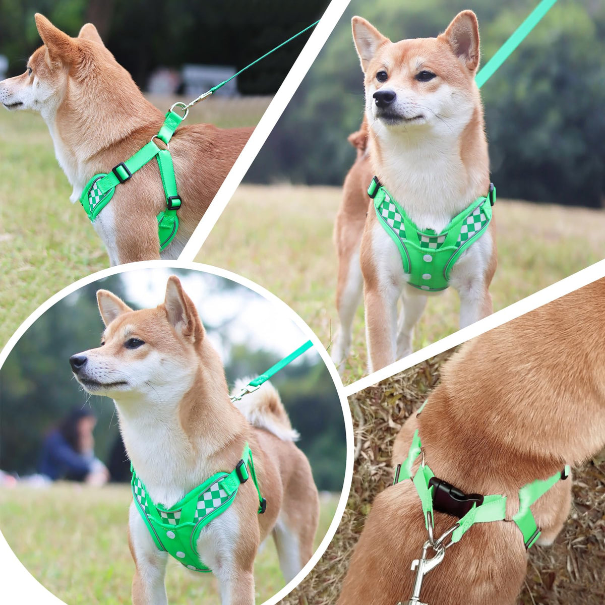 SAEGYPET Animal Harness in L, Green (denim)
