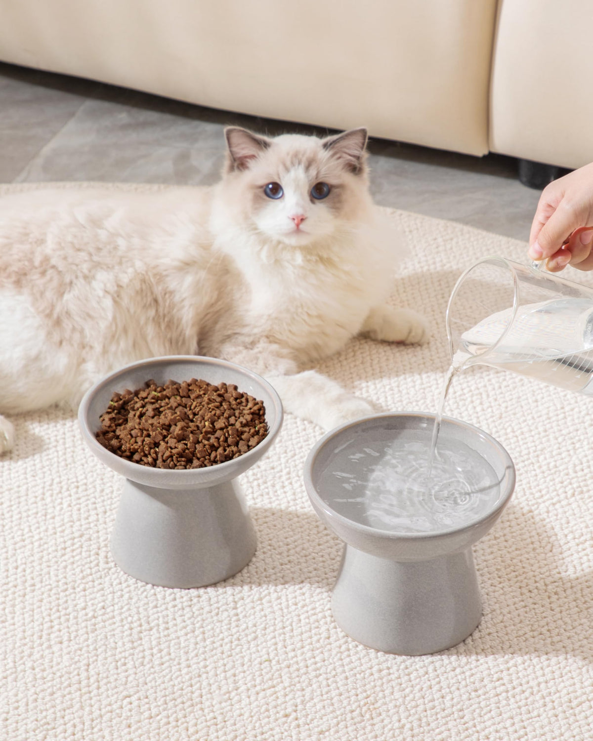 vancasso Pet Feeder in 2 Pack-Food & Water Bowls, Grey