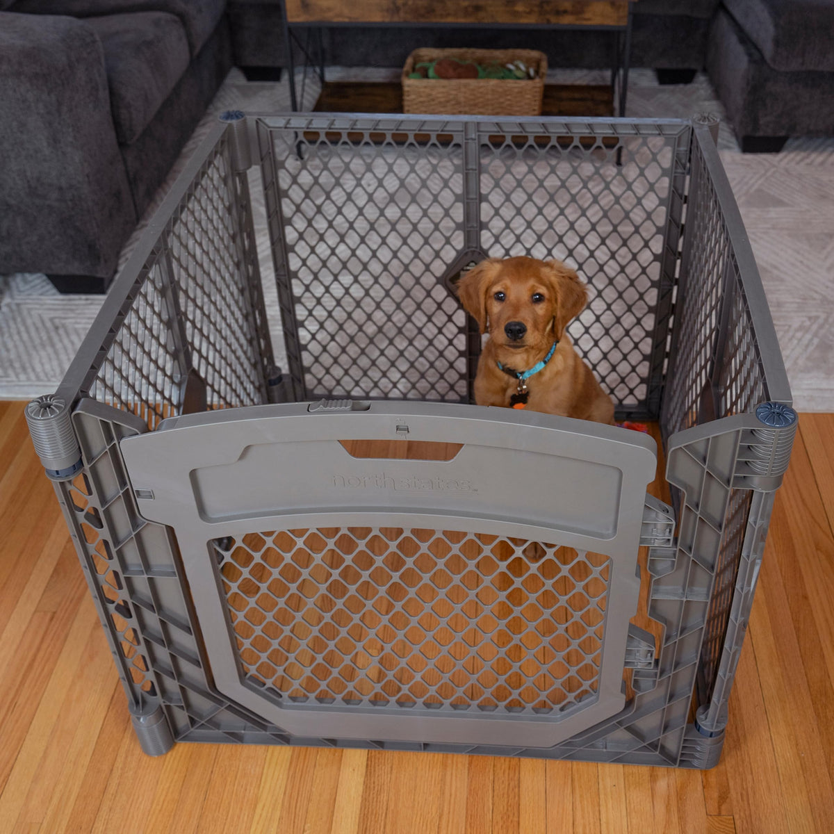 MYPET Pet Playpen in 4-Panel, Fieldstone