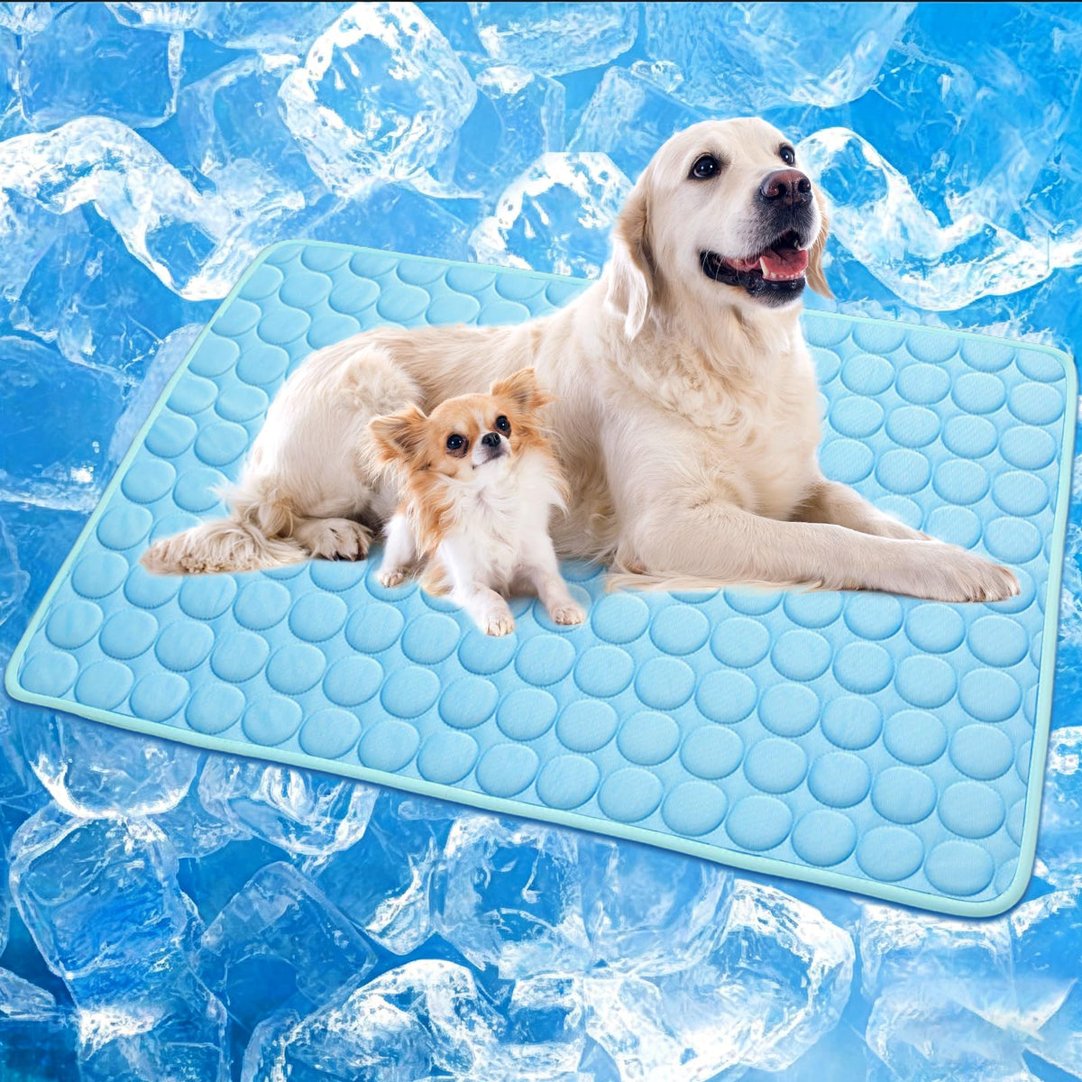 XinChangShangMao Pet Bed Mat in XX-Large 59''×40'', Blue