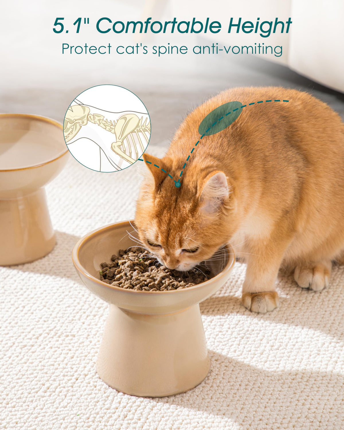 vancasso Pet Feeder in 2 Pack-Food & Water Bowls, Brown