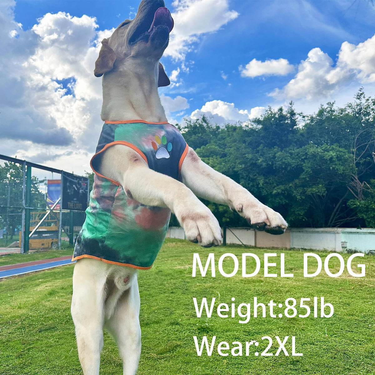 PriPre Pet Apparel in Medium, Vest Green